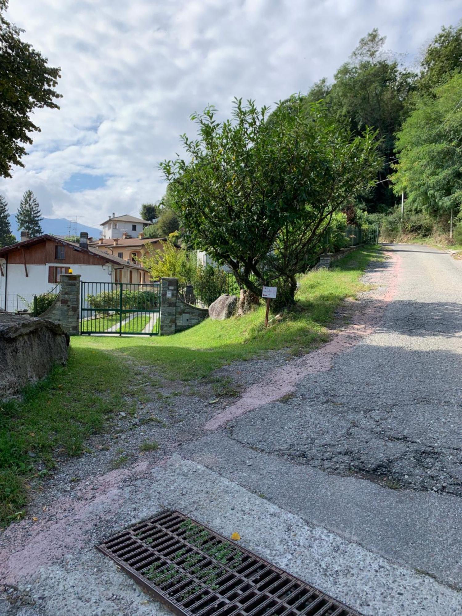 Casa Savina - Stupenda Vista Lago E Monti Plesio Eksteriør bilde
